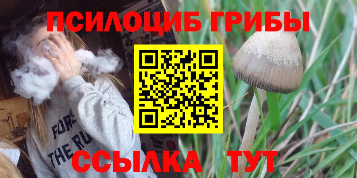 Псилоцибиновые грибы MAGIC MUSHROOMS  Псилоцибиновые грибы Psilocybine cubensis  Вход с VPN  Десногорск 